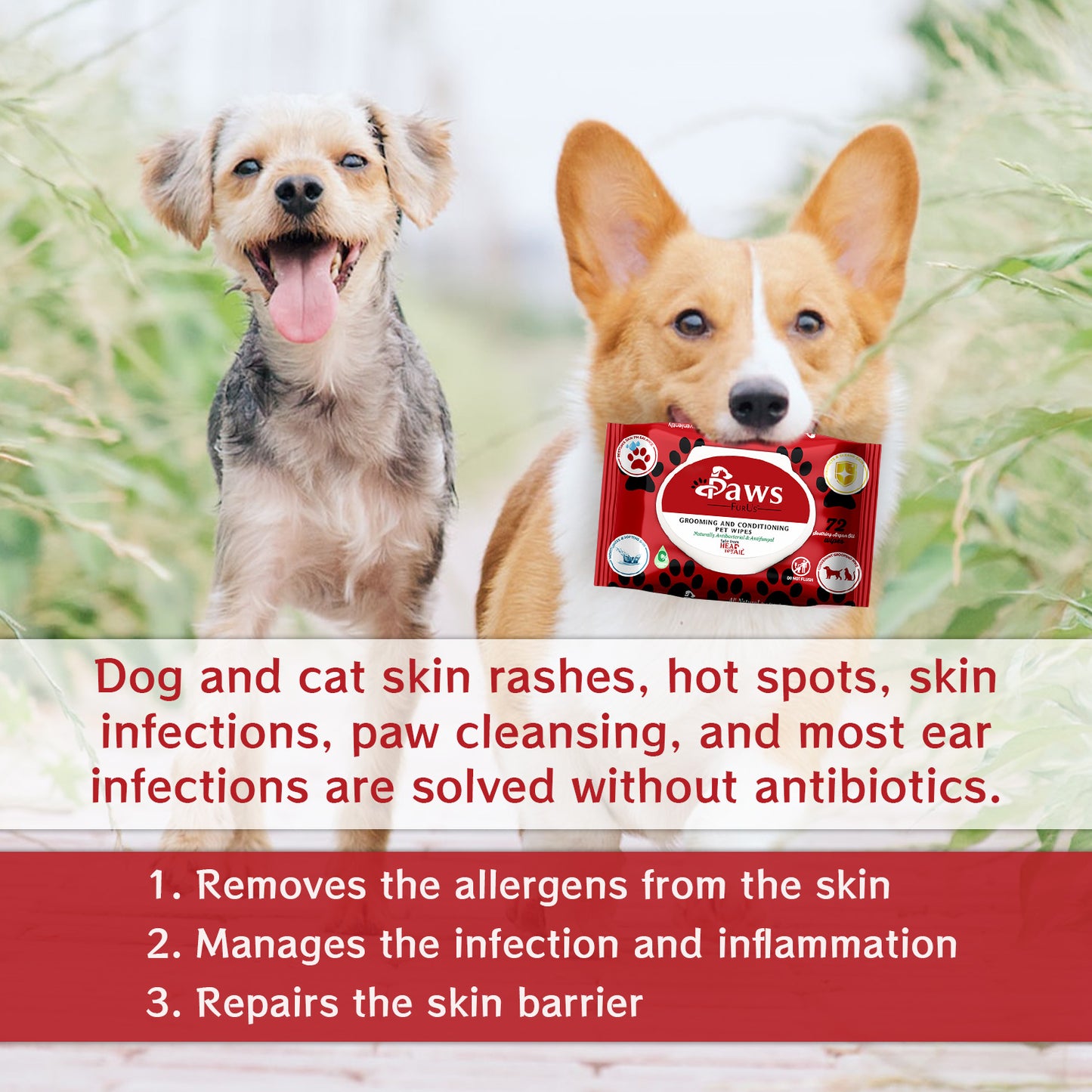Dog and cat skin rashes, hot spots, skin infections, paw cleansing, and most ear infections are solved without antibiotics. 1. Removes the allergens from the skin. 2. Manages the infection and inflammation. 3. Repairs the skin barrier.