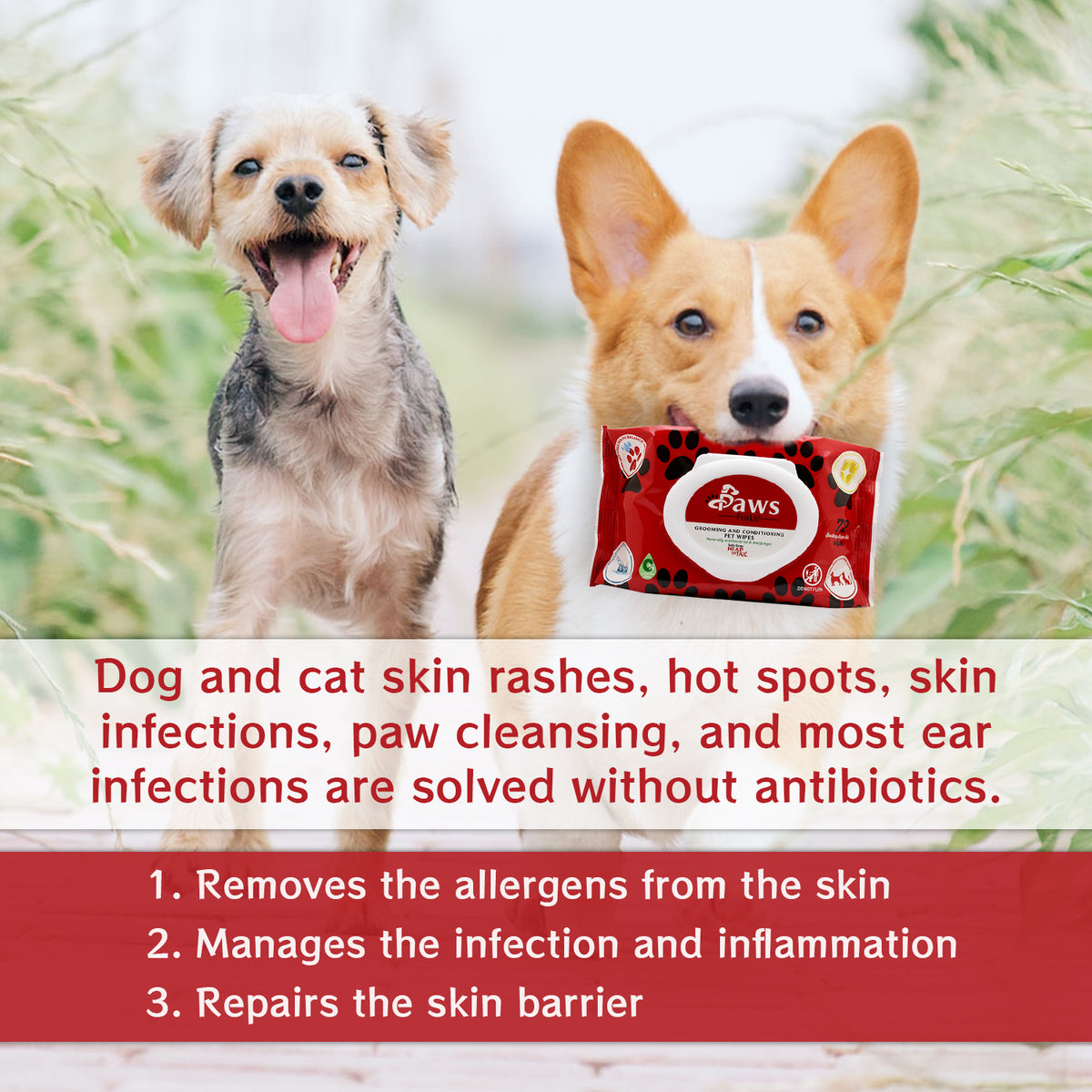Dog and cat skin rashes, heat spots, skin infections, paw cleansing, and most ear infections are solved without antibiotics. 1. Removes the allergens from the skin. 2. Manages the infection and inflammation. 3. Repairs the skin barrier.