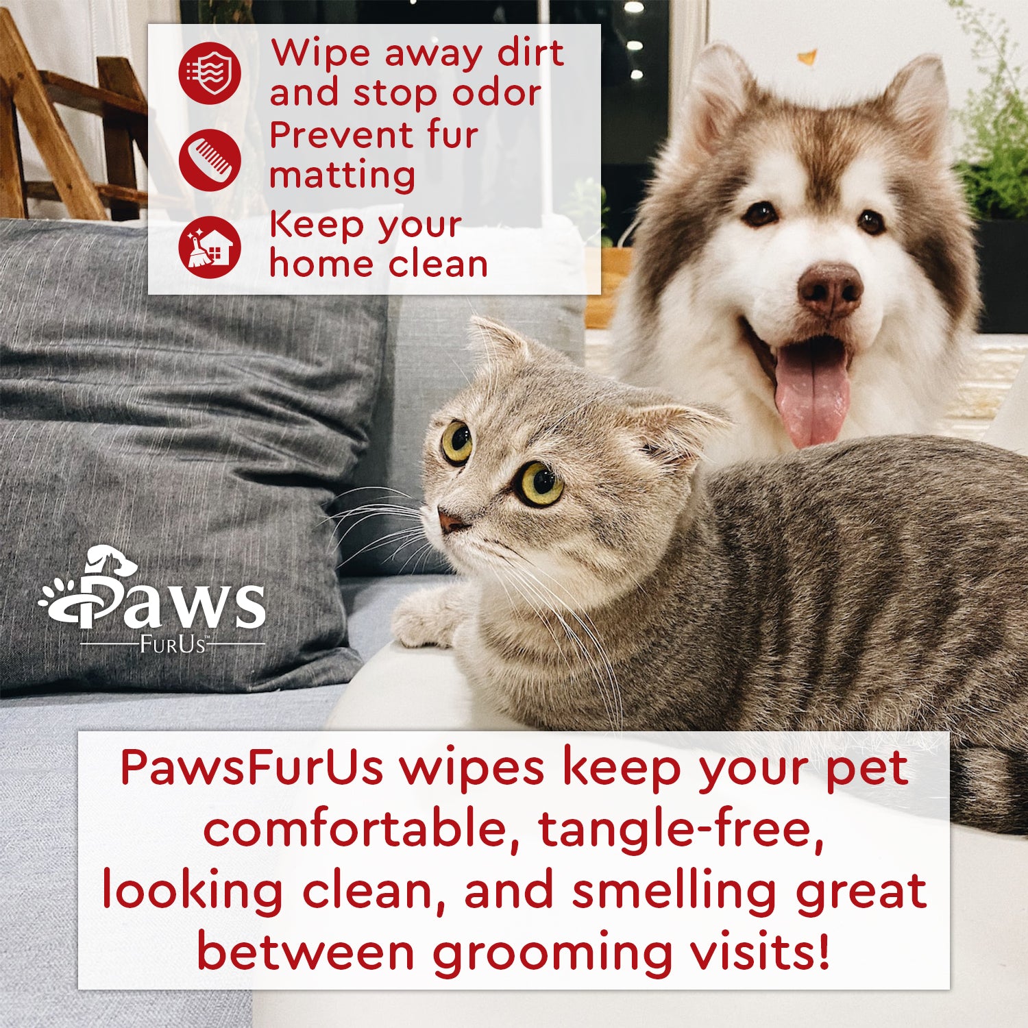 Wipe away dirt and stop odor. Prevent fur matting. Keep your home clean. PawsFurUs wipes keep your pet comfortable, tangle-free, looking clean, and smelling great between grooming visits!