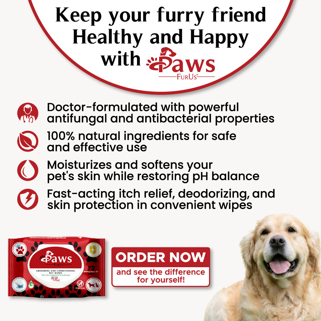 Antibacterial dog hotsell paw wipes