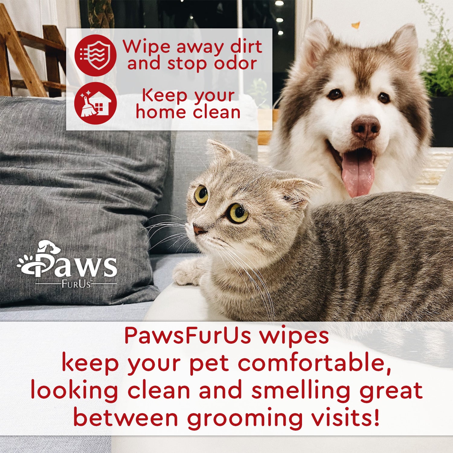 Wipe away dirt and stop odor. Keep your home clean. PawsFurUs wipes keep your pet comfortable, looking clean and smelling great between grooming visits!